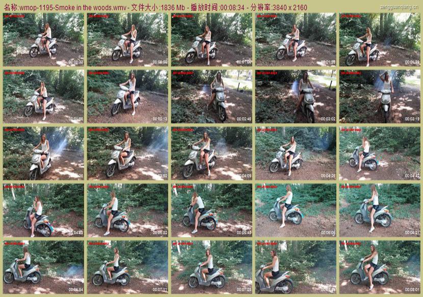 wmop-1195